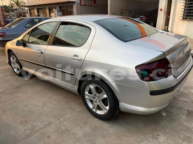 Big with watermark peugeot 407 abidjan abidjan 13733