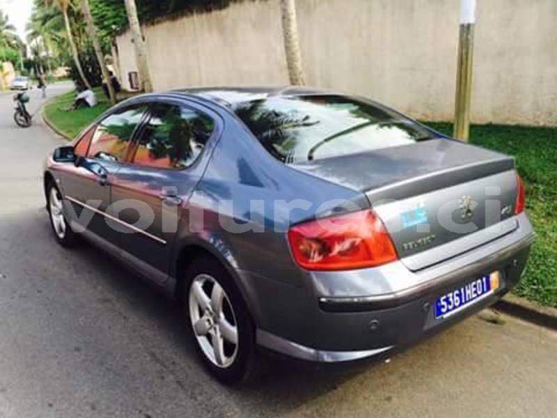 Big with watermark peugeot 407 abidjan abidjan 14177