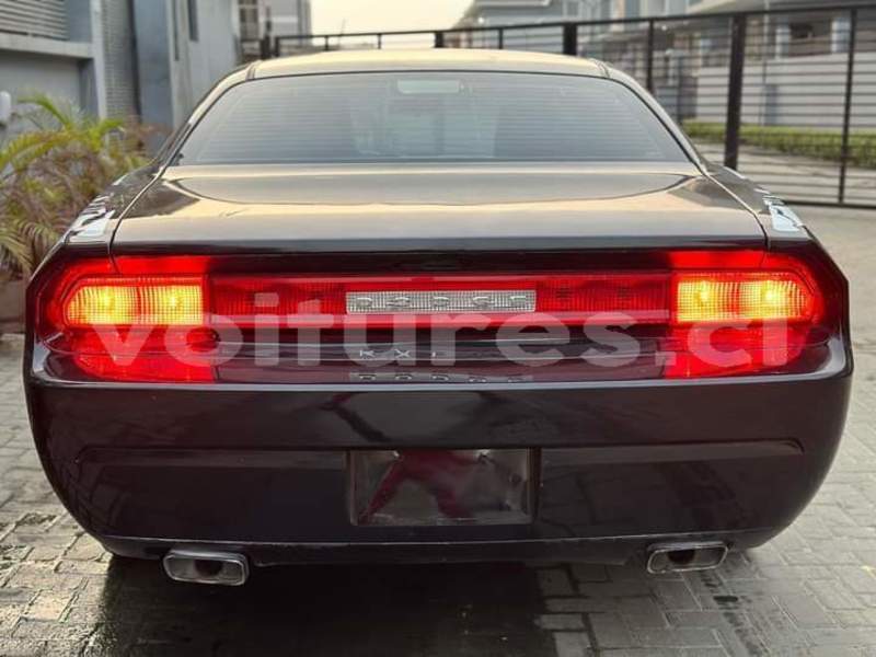 Big with watermark dodge challenger bas sassandra san pedro 57223