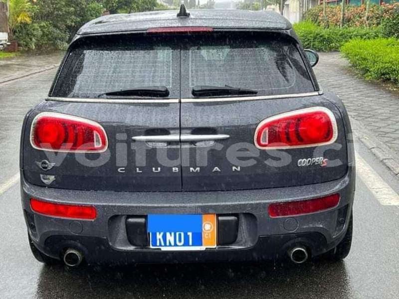 Big with watermark mini countryman bas sassandra san pedro 57387