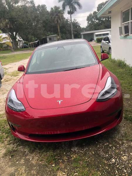 Big with watermark tesla model 3 bas sassandra san pedro 57417