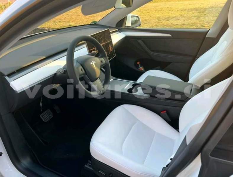 Big with watermark tesla model 3 bas sassandra san pedro 57848