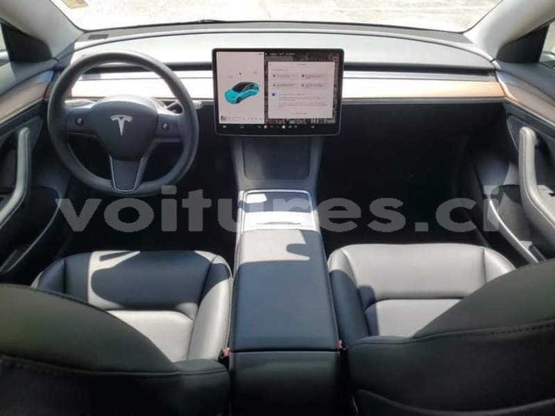 Big with watermark tesla model 3 bas sassandra san pedro 57848