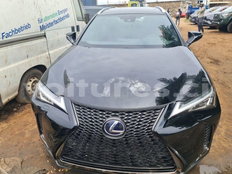 Big with watermark lexus ux bas sassandra san pedro 58028