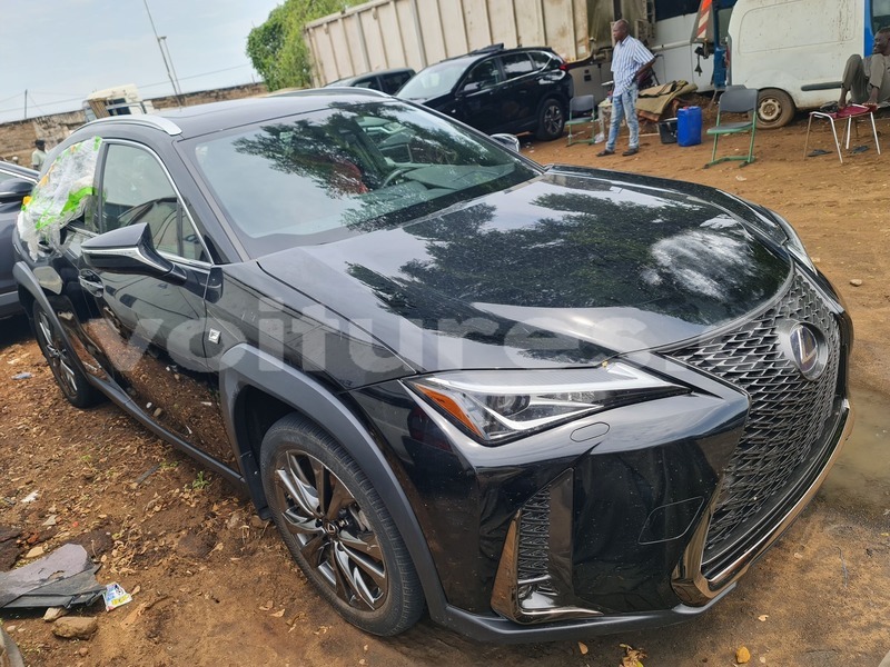 Big with watermark lexus ux bas sassandra san pedro 58028