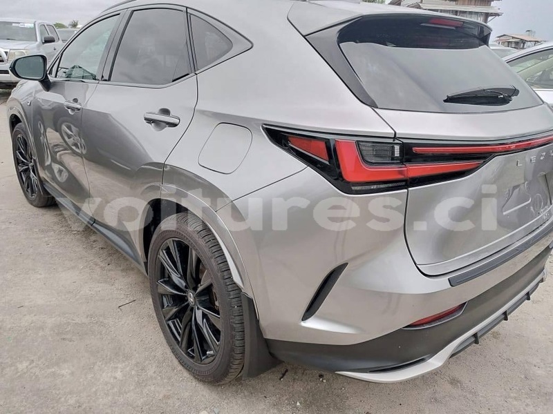 Big with watermark lexus nx bas sassandra san pedro 58169