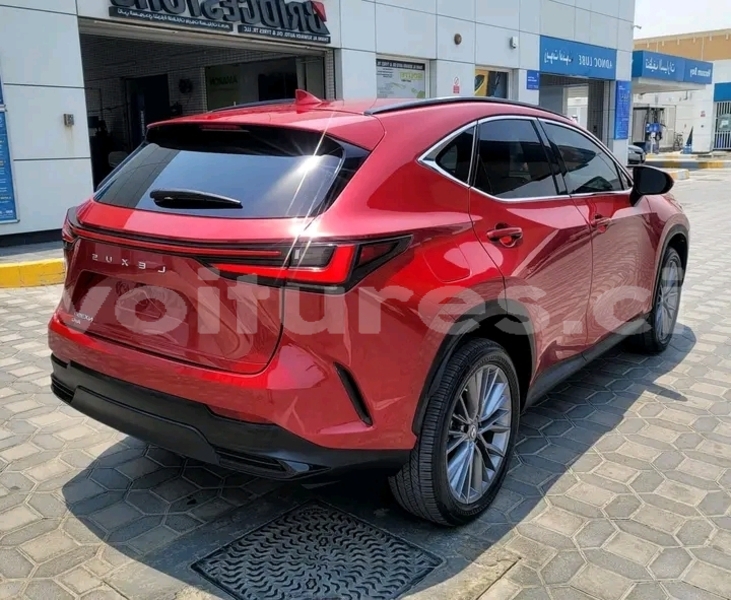 Big with watermark lexus nx ivory coast aboisso 66824