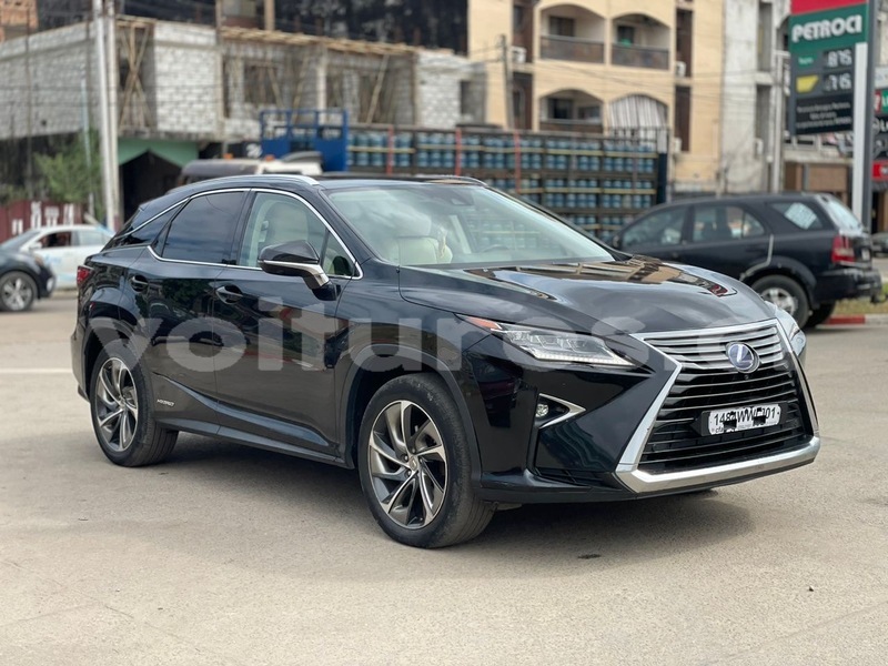 Big with watermark lexus rx abidjan abidjan 68050