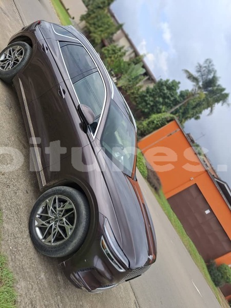 Big with watermark hyundai genesis abidjan abidjan 70069