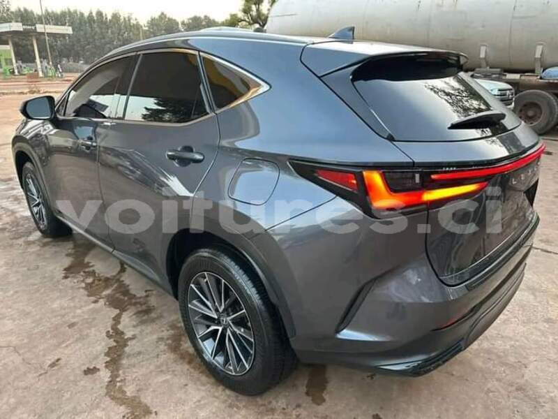 Big with watermark lexus nx ivory coast aboisso 70706