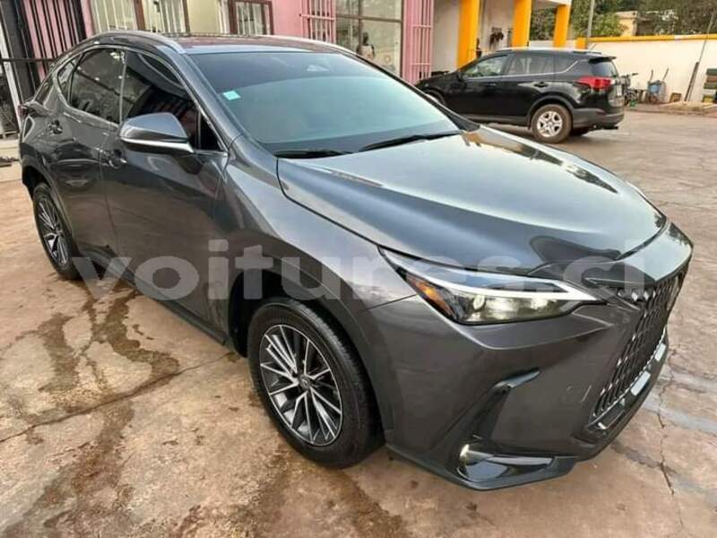 Big with watermark lexus nx ivory coast aboisso 70706