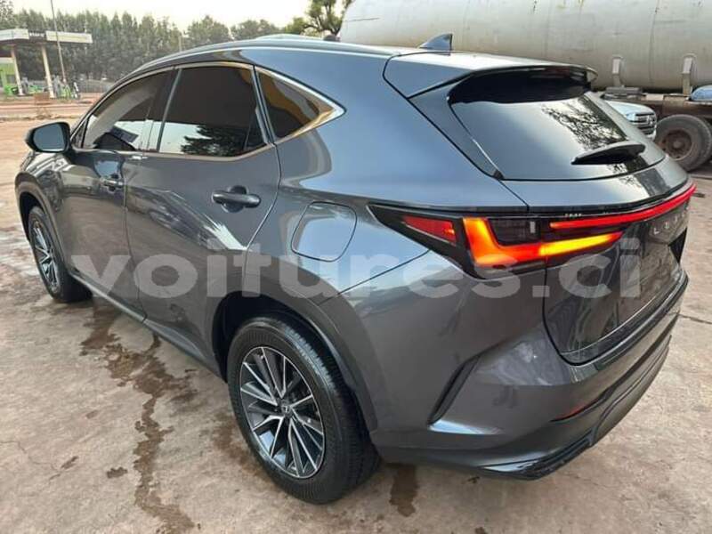 Big with watermark lexus nx ivory coast aboisso 70806