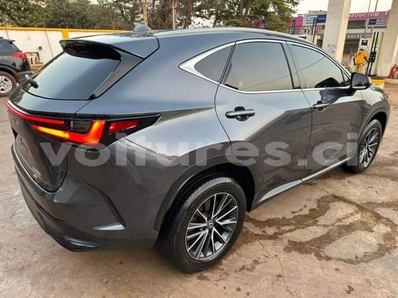 Big with watermark lexus nx ivory coast aboisso 70806