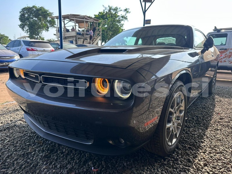 Big with watermark dodge challenger ivory coast aboisso 72398