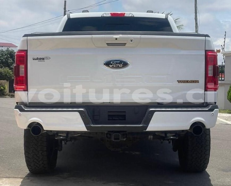 Big with watermark ford f 150 ivory coast aboisso 72855